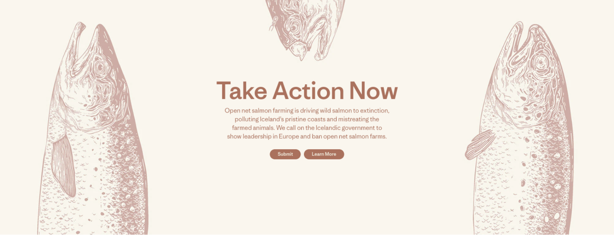 Patagonia banner met illustraties