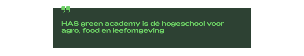 Website HAS Quote