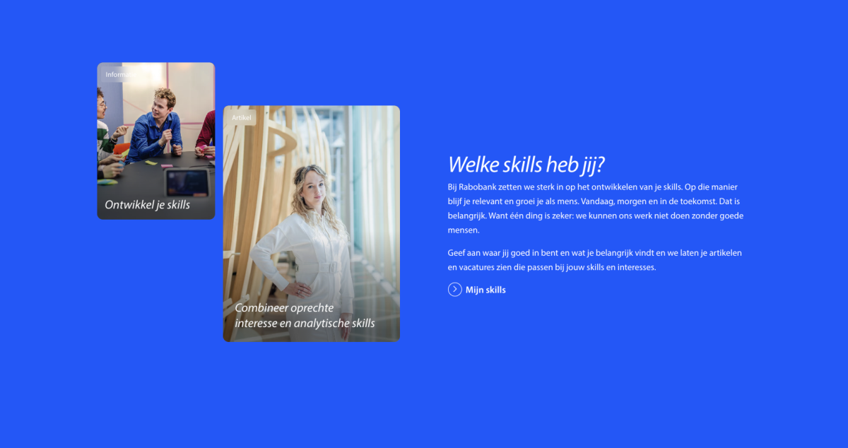 Werken bij Rabobank skills