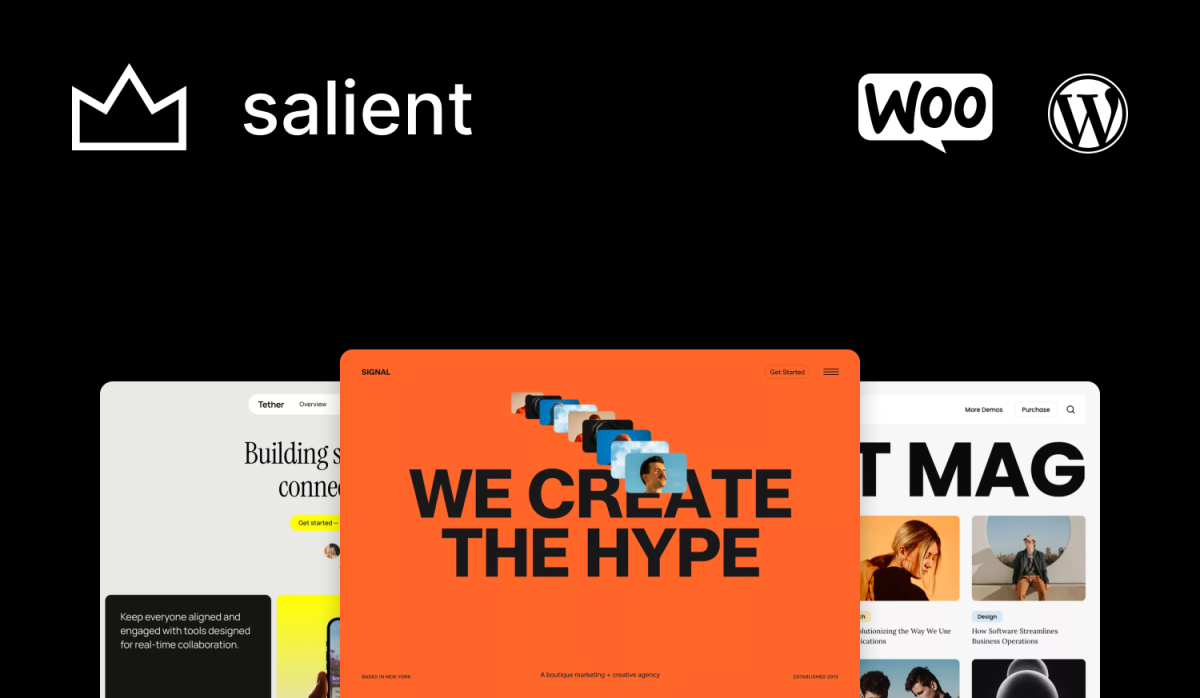 Salient wordpress template 24544