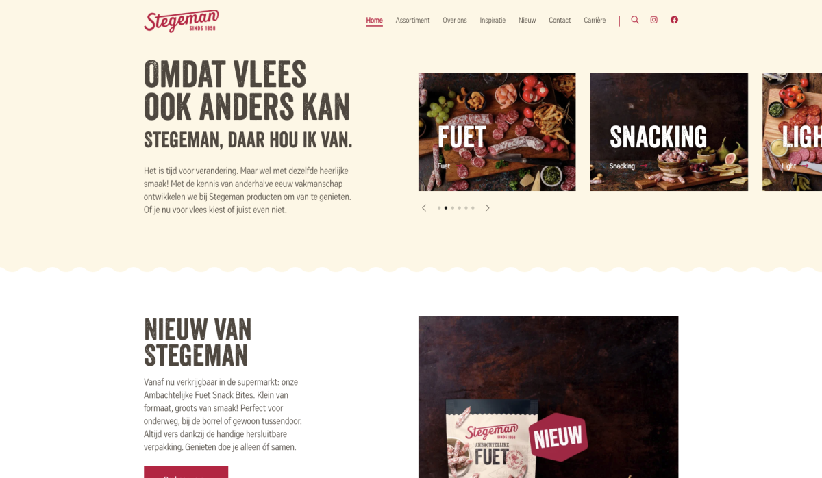 Website Stegeman